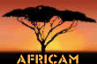 Link to Africam